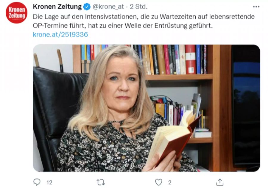 sona strummer