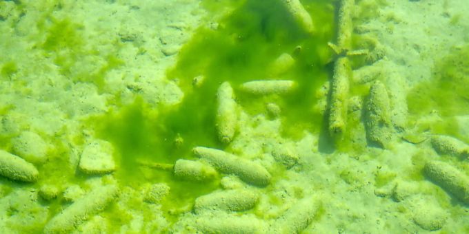 Beim Fliegerschiessplatz Forel im Neuenburger See lagert auf dem Seegrund Munition. see