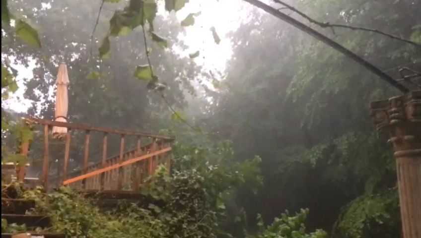 whatsapp-video-2018-05-30-at-19