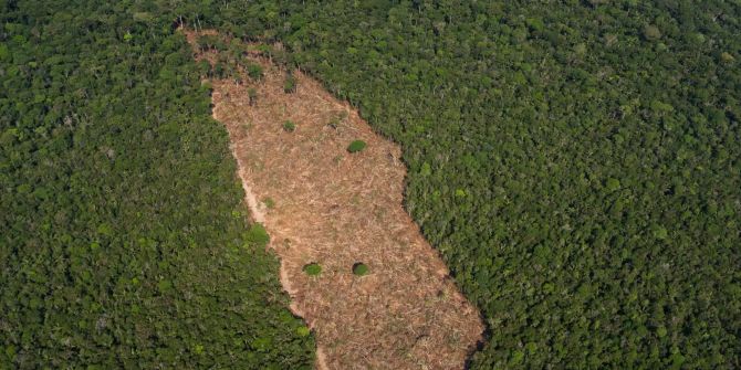 Fläche von der Grösse Deutschlands in Amazonien «umgewidmet»