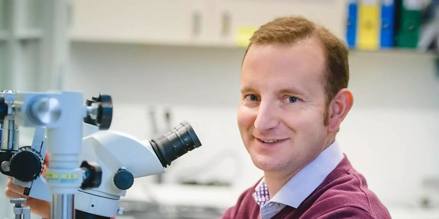dr. antoine Adamantidis