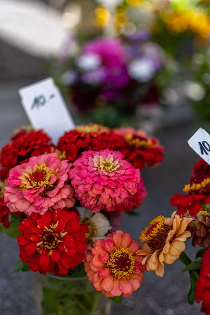 Einzelblumen-Verkauf aus Möriken.