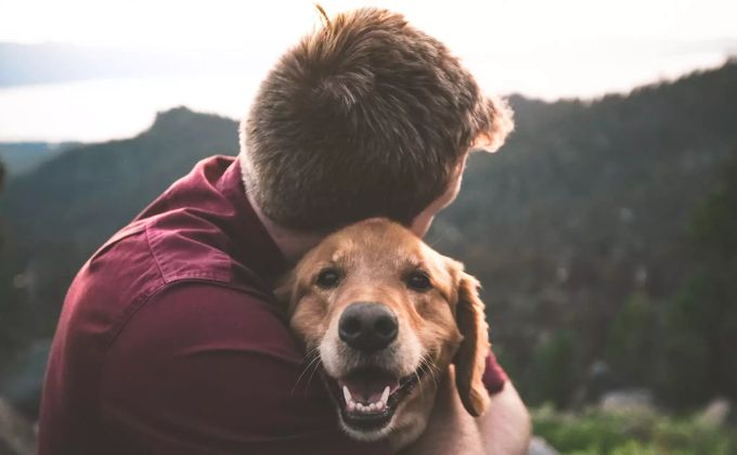 Ein Hund mit seinem Herrchen. Hund draussen Blut spenden