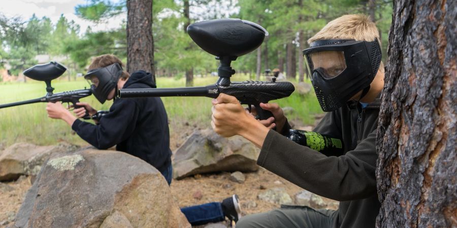 Eine niederländische Provinz erlaubt, dass die Ordnungshüter eines Nationalparks mit Paintball-Geschoss auf die Tiere schiessen. (Symbolbild)