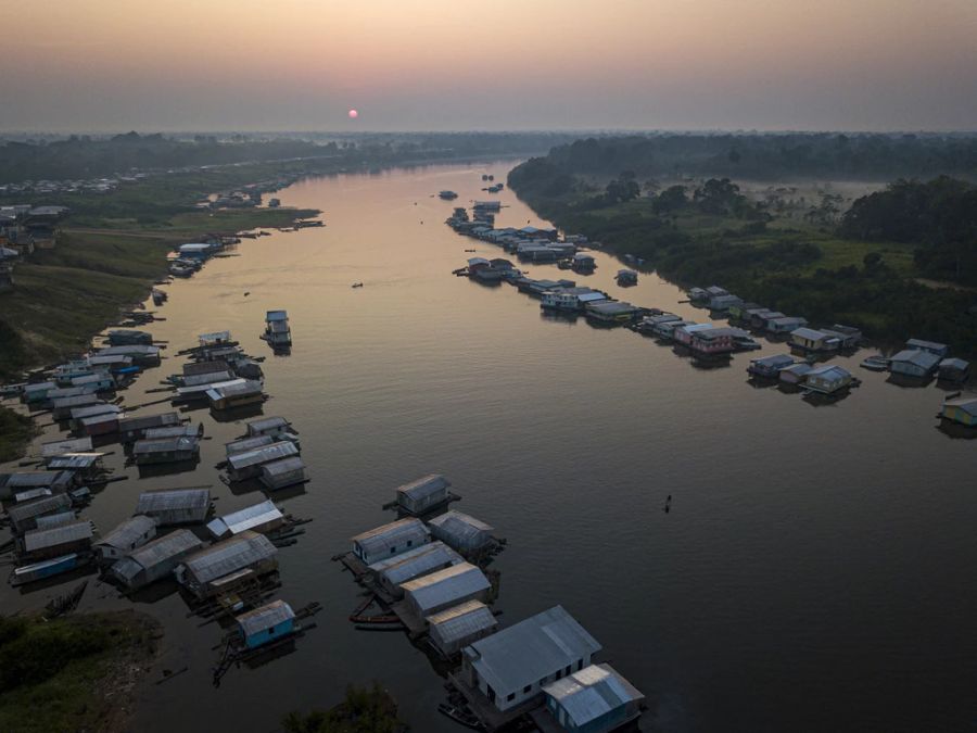 Durch die Vertreibung der illegalen Fischerei und Kontrolle der Fischbestände konnte sich der Arapaima wieder erholen. So sind im Gebiet der Siedlung Carauari heute rund 45'000 der Riesenfische unterwegs. 2011 waren es gerade noch knapp 5000 Tiere gewesen.