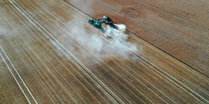 Intensive Landwirtschaft vertreibt Vögel Intensive Landwirtschaft vertreibt Vögel