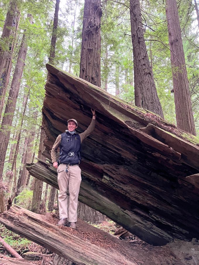 Die Baumstämme der Redwoods können ohne Probleme einen ausgewachsenen Menschen in ihrem Inneren aufnehmen. Mann Baumstamm Wald Redwoods Giant