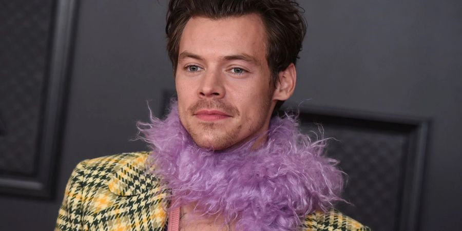 Der britische Sänger Harry Styles geht mit «Love On Tour».