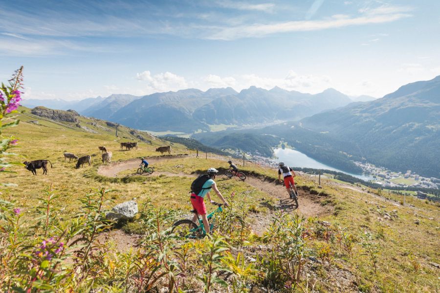 Moutainbiker auf den Flow Trails Corviglia.