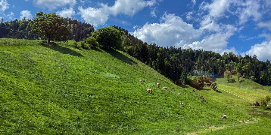 Entlebucher Landschaft aus dem Zug heraus gesehen.