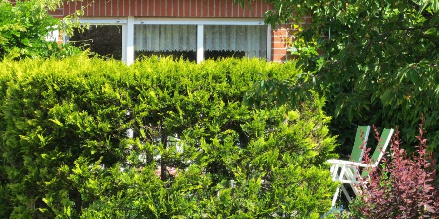 Eine Hecke ist Schutz in mehrfacher Hinsicht: Sie ist Sichtschutz, aber auch eine Windbarriere, die Pflanzen im Garteninneren hilft.