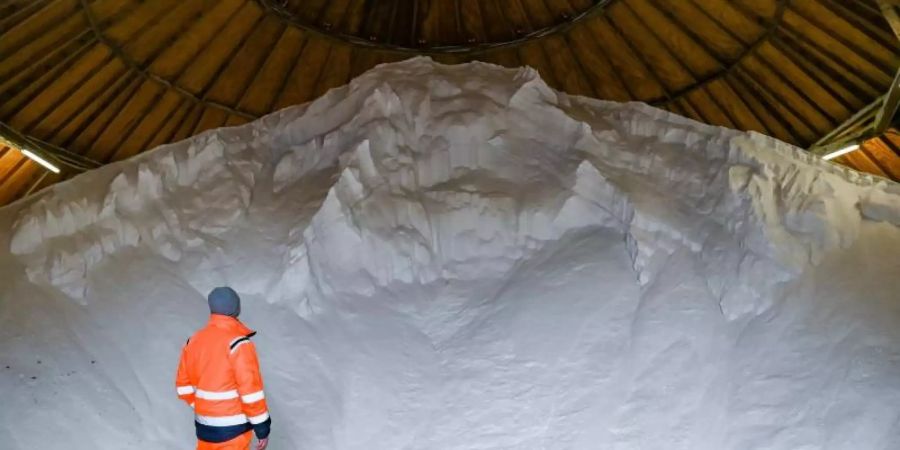 Lager mit Streusalz. Im rheinland-pfälzischen Idar-Oberstein haben Unbekannte 2,5 Tonnen Streusalz gestohlen. (Symbolbild). Foto: Patrick Pleul/dpa-Zentralbild/ZB