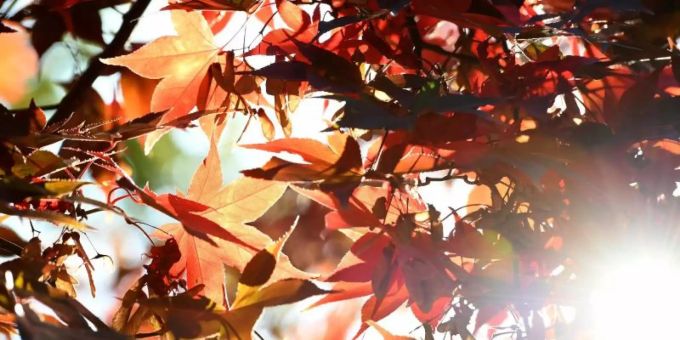 18 Grad - Goldenes Oktoberwetter! Bis Mittwoch gibts viel Sonne