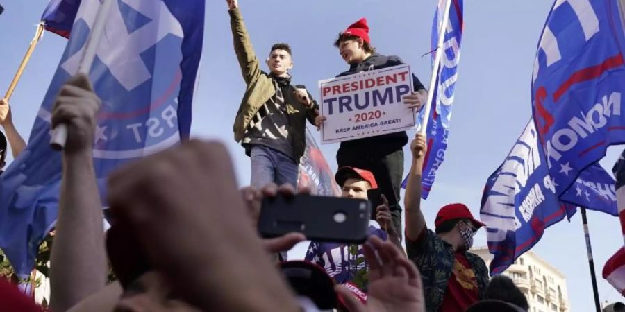 donald trump protest