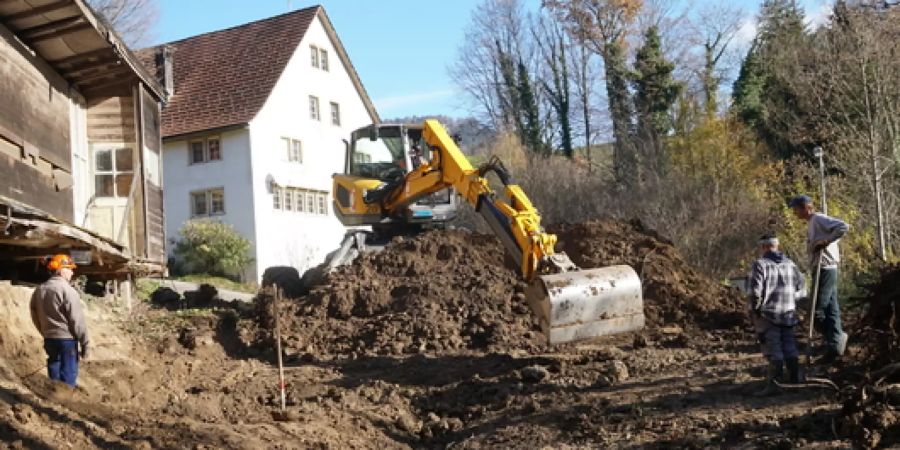Erfolgreiche Neophyten-Bekämpfungsaktion in Diemberg