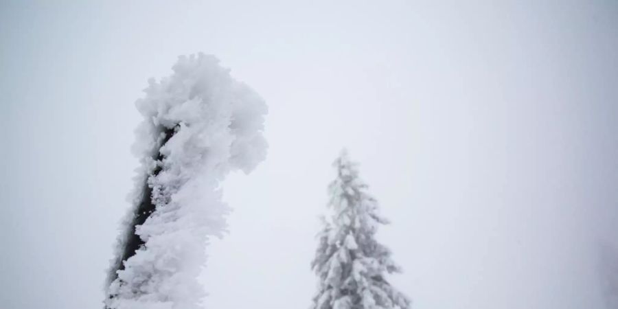 In Arosa gab es in den letzten 40 Jahren nur dreimal mehr Neuschnee. (Archivbild)