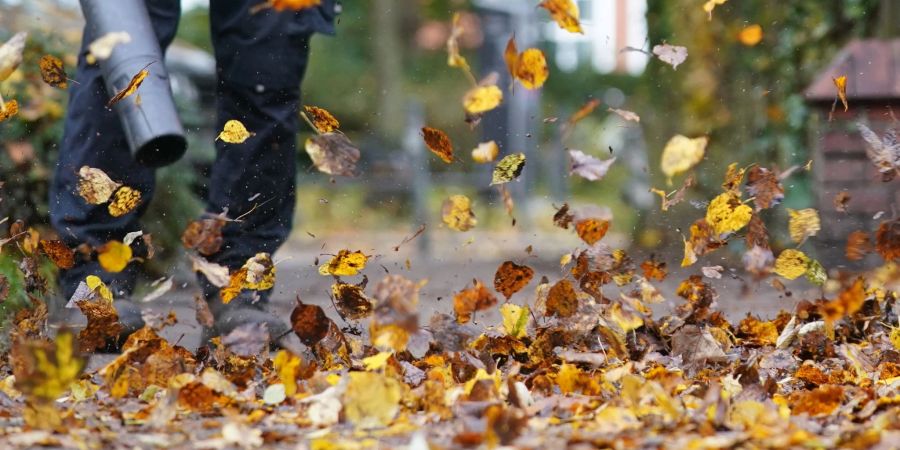 Kampf gegen das Herbstlaub: Laubbläser sind praktische Helfer - aber nur, wenn sie sachgemäss und sicher bedient werden.