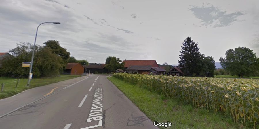 Lanzenneunfornstrasse