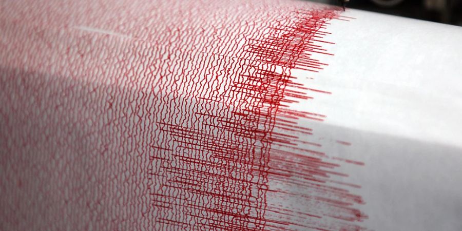 ARCHIV - Ein Seismograph verzeichnet Erdbebenwerte (Symbolbild). Foto: Oliver Berg/dpa