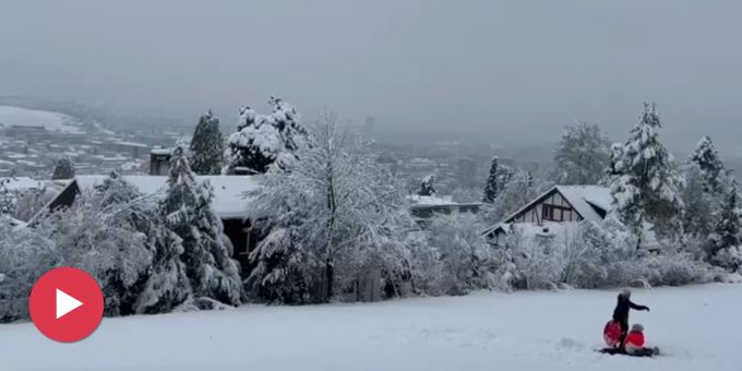 Weisse Schweiz - Videos und Bilder zeigen das schneebedeckte Flachland