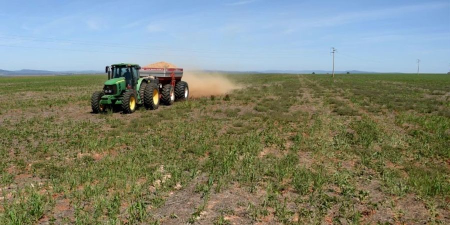 Bauer auf einem Feld bringt Dünger aus