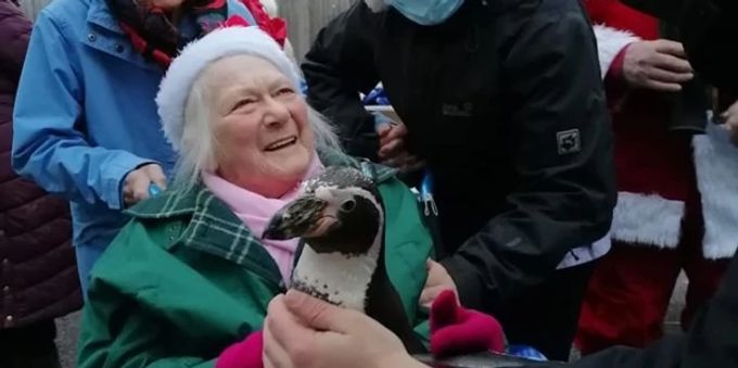 Die Seniorinnen und Senioren eines Altenheims in Essex (GBR) wurden mit Pinguinen überrascht. Grossbritannien