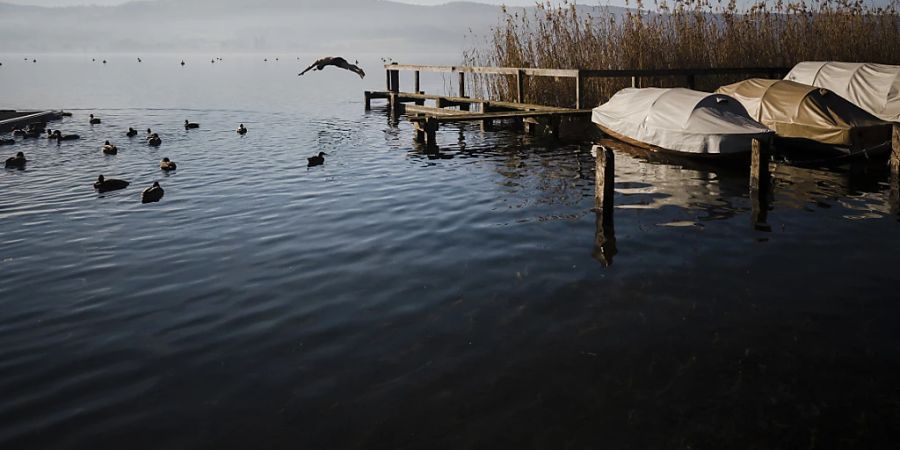 Im Greifensee im Kanton Zürich ist der Phosphor-Gehalt schon heute zu hoch. (Archivbild)