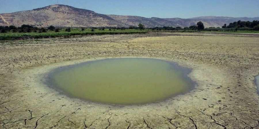 el niño