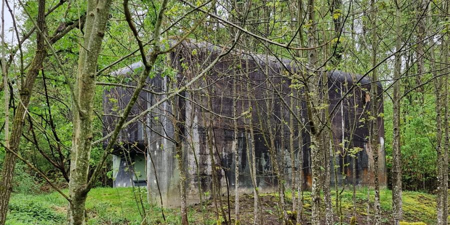 Der Rundgang verschaffte einen Einblick in drei grosse Infanteriebunker.