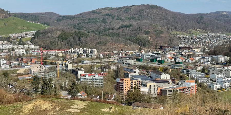 Ausblick auf Seltisberg.