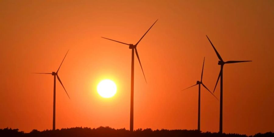 Windräder in der Nähe von Neu Zauche und Straupitz