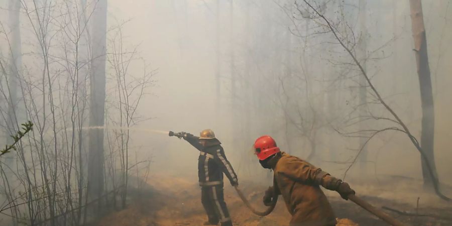 Tschernobyl Atomkraftwerk Wald Feuer