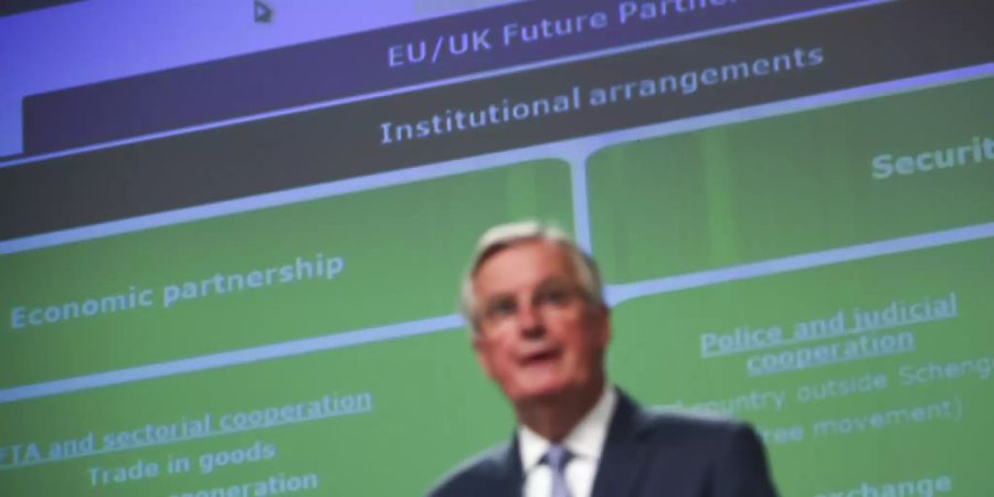EU-Unterhändler Michel Barnier hat der britischen Regierung Bedingungen für ein ehrgeiziges Freihandelsabkommen nach dem Brexit angekündigt.