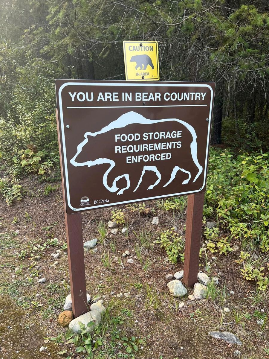 «You are in bear country» («Du befindest dich in Bären-Territorium»), das hat Max mittlerweile auch mitgekriegt.