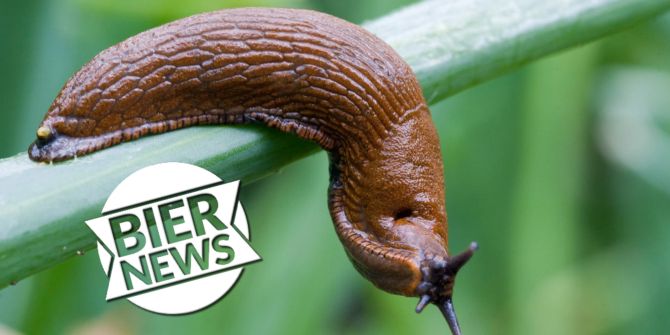 Nacktschnecke biernews