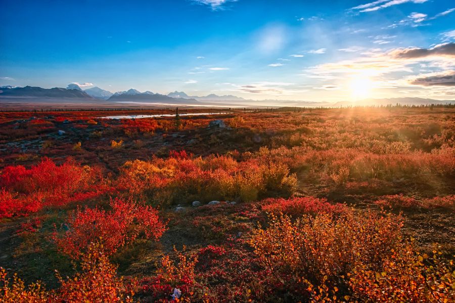 Indian Summer in Alaska.