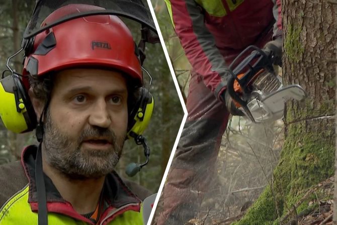 Förster Attacke Baselland Spaziergänger