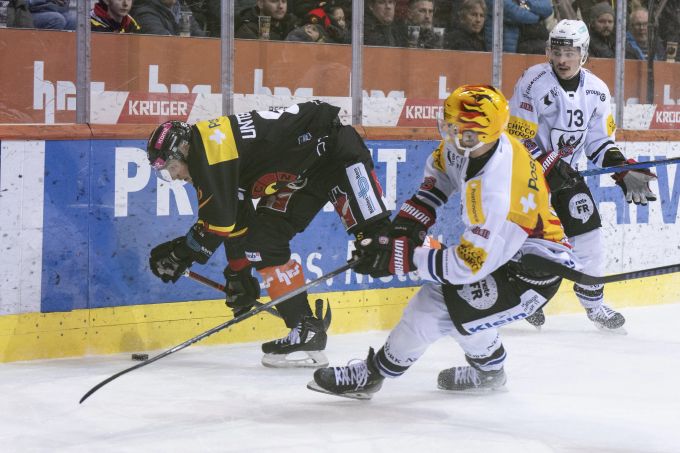 Der SC Bern und Fribourg-Gottéron liefern sich ein umkämpftes Playoff-Derby. SC Bern Fribourg-Gottéron