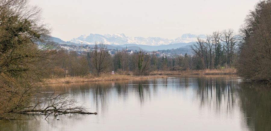 Auenpark Bremgarten Wanderung