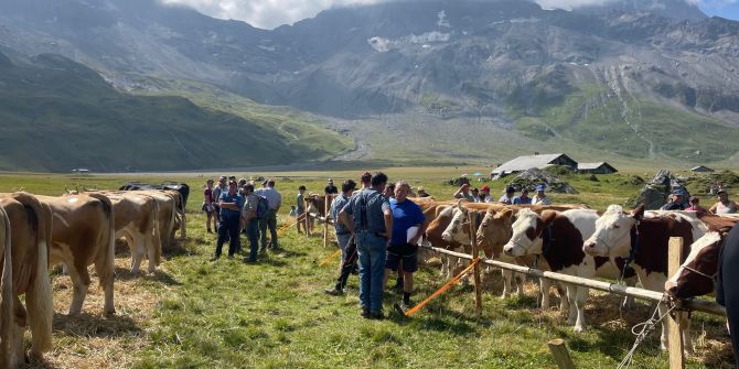 Engstligenalp