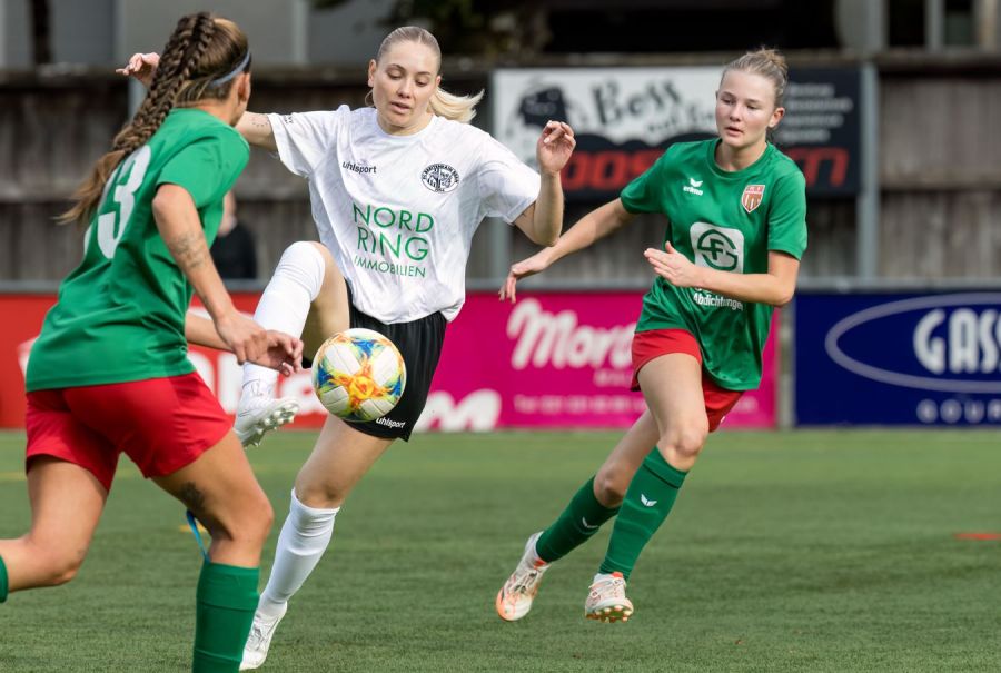 fc breitenrain frauen