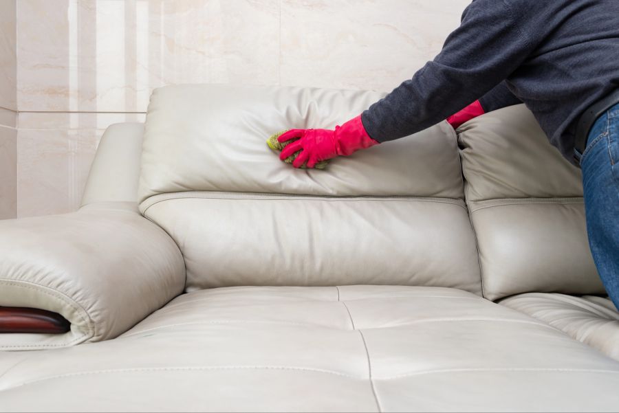 Person reinigt Ledersofa