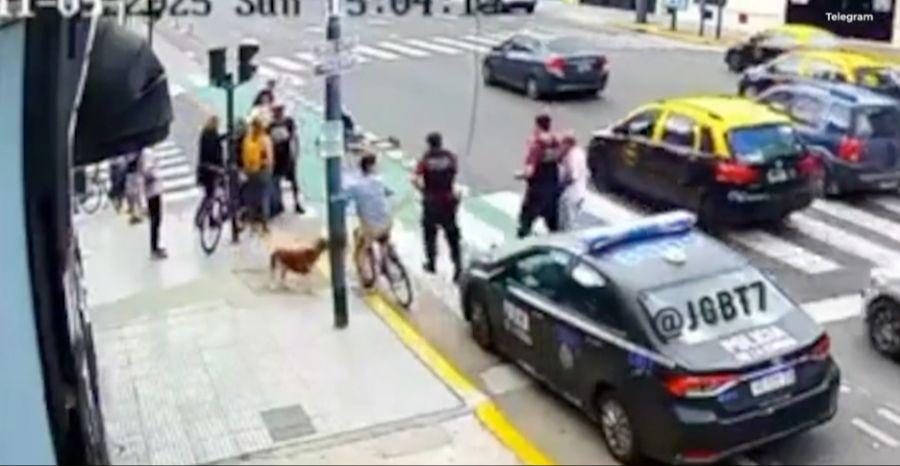 Die Polizei trifft ein und verhaftet den Dieb.