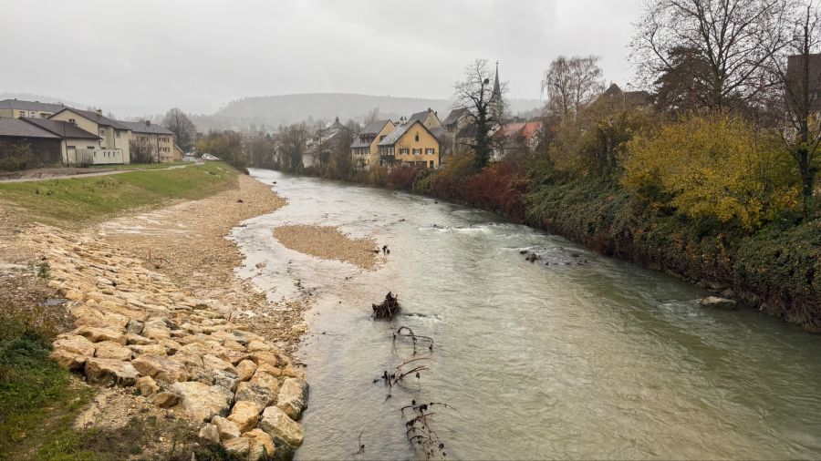 Deshalb soll die Birs jetzt mehr Platz bekommen.