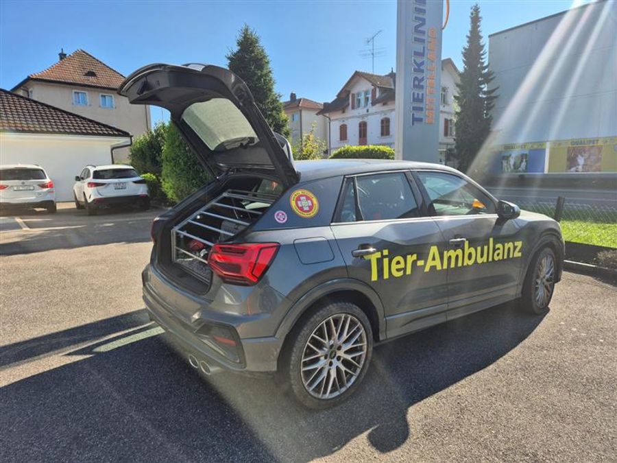 Sibylle Wettstein der Tier-Ambulanz des Vereins «Simbas Welt» holte die Katze ab.