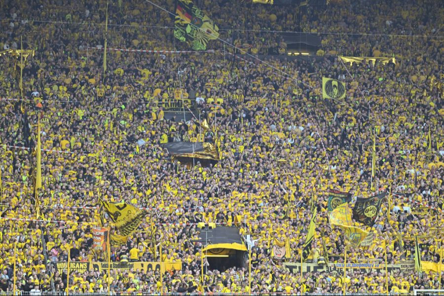 Kein anderer Bundesligist weist einen höheren Zuschauerschnitt auf.