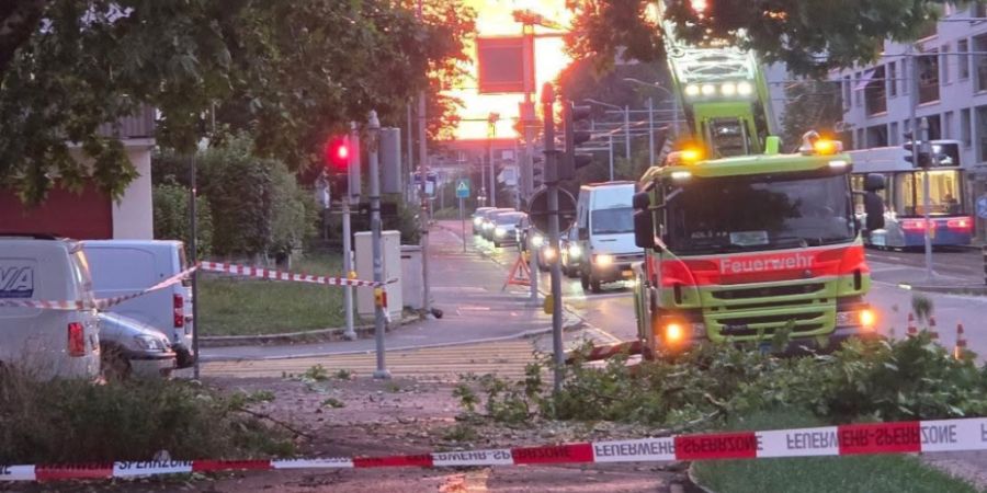 Herabstürzende Äste, vollgelaufene Keller: Bei Schutz&Rettung gingen am Donnerstag 550 Notrufe ein. Im Bild kontrollieren Einsatzkräfte, ob noch mehr Äste auf ein Trottoir und die S...