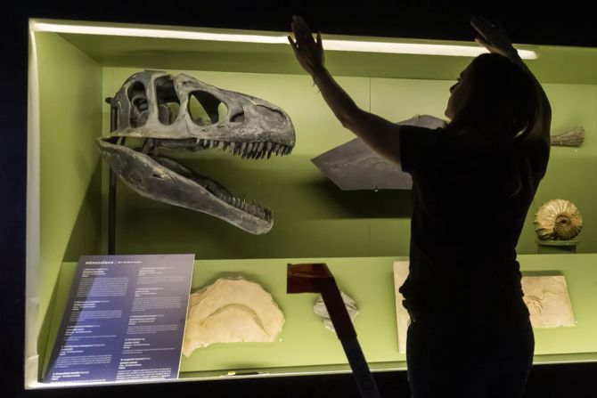 Genf Museum