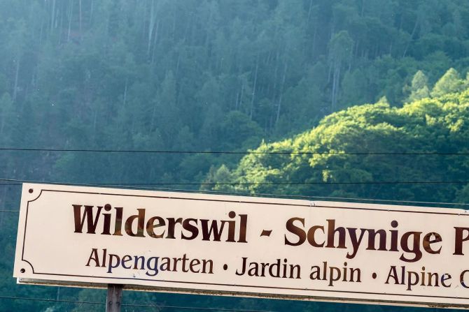 Gsteigwiler