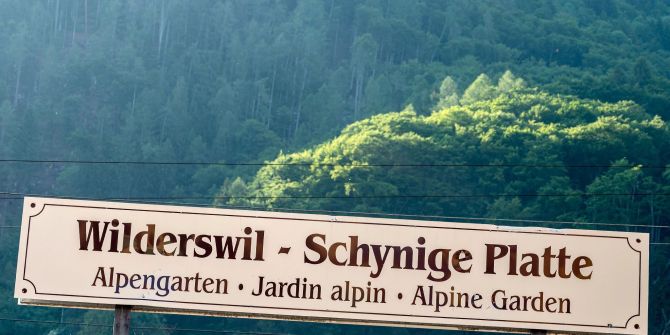 Gsteigwiler